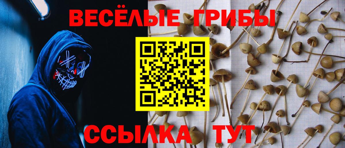 Ростов-на-Дону  Галлюциногенные грибы Magic Shrooms  Вход с VPN 